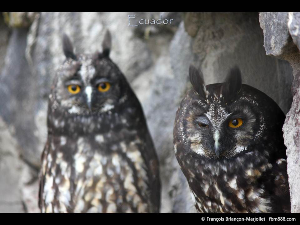Photo from the 888-day world trip, © François Briançon-Marjollet